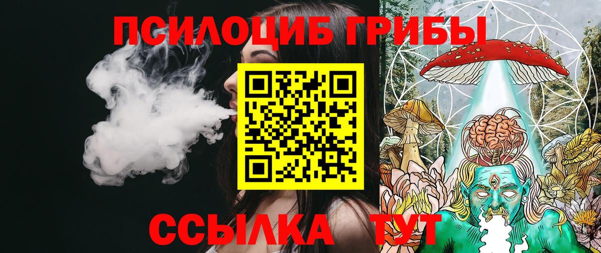 Новочеркасск  Галлюциногенные грибы Psilocybine cubensis  Вход с VPN 